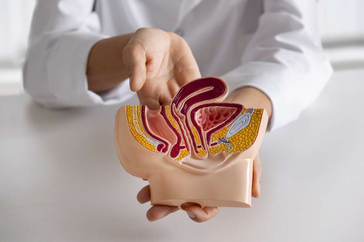 Revolutionizing Virtual Colonoscopy